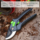 DTBD Plant Trim Horticulture Pruner Cut Secateur Shrub Garden Scissor Tool Branch Shear Orchard Pruning Shears Folding Saw Set