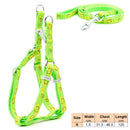 Pet Dog Harness and Leash Adjustable Collar Pet Products for  Cat Small Dogs Outdoor Walking Puppy Accessories